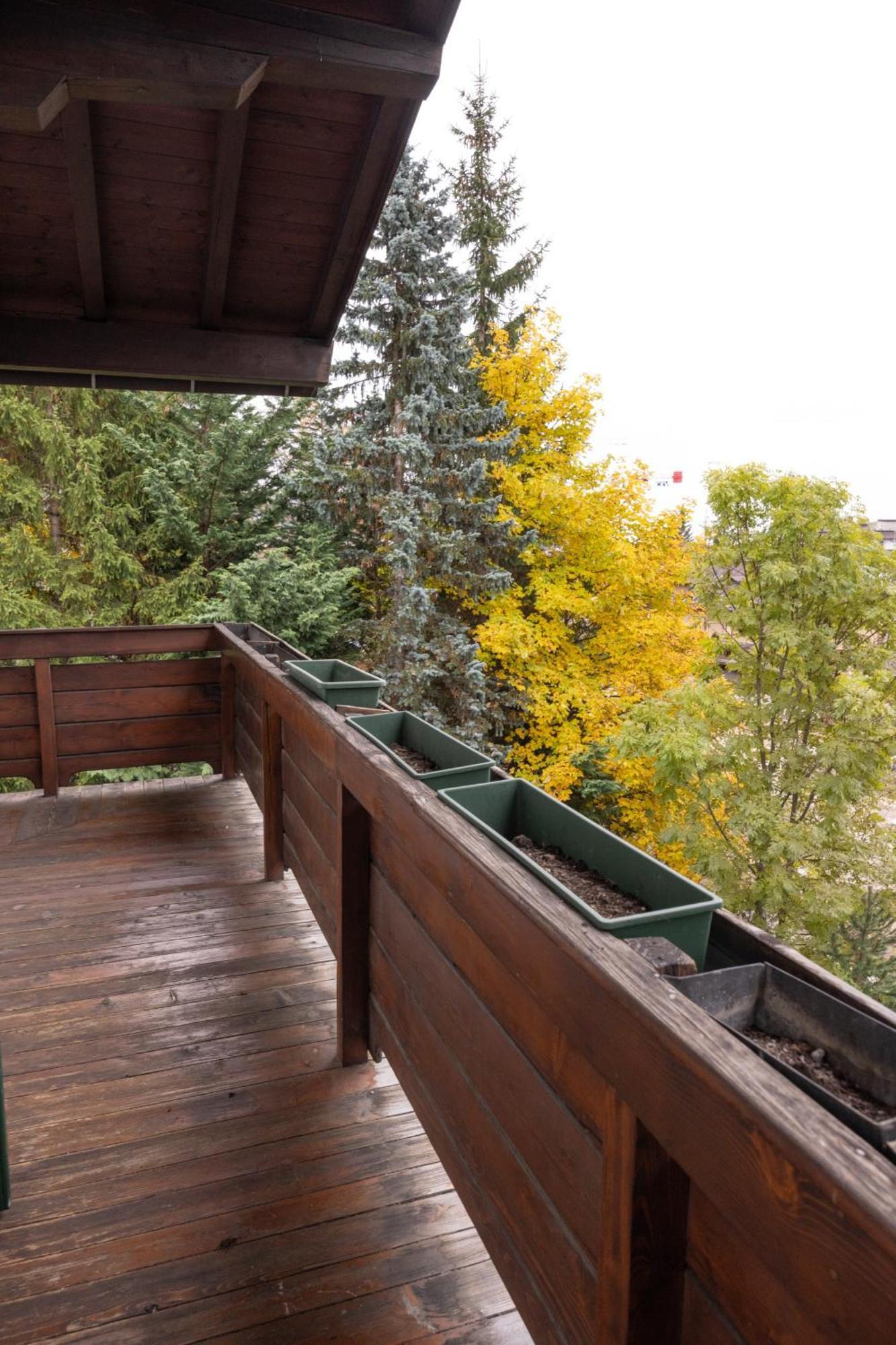 Casa Ca Dei Fiori A Due Passi Dal Centro Di Cortina Apartment Cortina d'Ampezzo Exterior photo